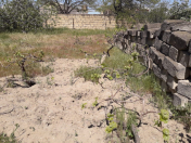 Satılır 500 sot torpaq Sumqayıt