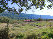 Satılır 4 sot torpaq Qusar