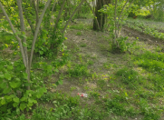 Satılır 10 sot torpaq Xudat