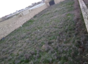 Satılır 8.8 sot torpaq Türkan