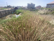 Satılır 8 sot torpaq Məhəmmədli