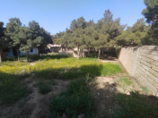 Satılır 7 sot torpaq Bakıxanov