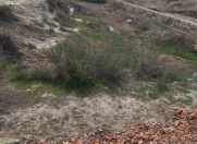 Satılır 6 sot torpaq Sumqayıt