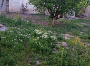 Satılır 6 otaqlı 6 m2 həyət evi Xaçmaz