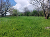 Satılır 61 sot torpaq Qəbələ