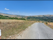 Satılır 244 sot torpaq Şamaxı