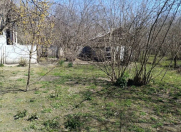 Satılır 48 sot torpaq Qəbələ