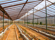 Satılır 18 sot torpaq Zirə