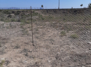 Satılır 12 sot torpaq Naxçıvan