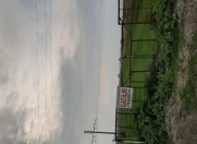 Satılır 250 sot torpaq Ağdaş