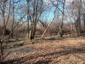 Satılır 75 sot torpaq Qəbələ