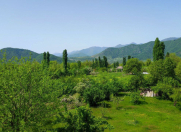 Satılır 50 sot torpaq Qəbələ