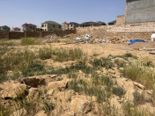 Satılır 6 sot torpaq Badamdar