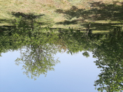 Satılır 4 otaqlı 110 m2 həyət evi Xaçmaz