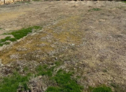 Satılır 6 sot torpaq Zığ