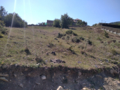 Satılır 12 sot torpaq Şamaxı