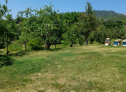 Satılır 20 sot torpaq İsmayıllı