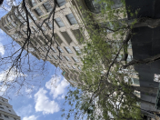 İcarəyə verilir 2 otaqlı 310 m2 obyekt Bayıl