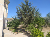 Satılır 8 otaqlı 450 m2 bağ evi Mərdəkan