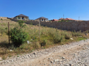 Satılır 12 sot torpaq Şamaxı