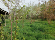 Satılır 2 otaqlı 150 m2 həyət evi Ağdaş