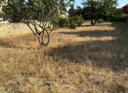 Satılır 6 sot torpaq Görədil