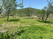 Satılır 16 sot torpaq Lənkəran