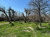 Satılır 11 sot torpaq Sumqayıt