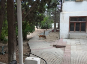 Satılır 7 otaqlı 200 m2 bağ evi Pirşağı