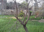 Satılır 10 sot torpaq Azadlıq prospekti m.