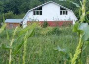 İcarəyə verilir 4 otaqlı 200 m2 həyət evi Lerik