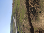 Satılır 7 sot torpaq Xocəsən