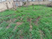 Satılır 2.5 sot torpaq Masazır