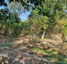 Satılır 500 sot torpaq Mingəçevir