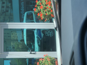 Satılır 6 otaqlı 432 m2 həyət evi Fatmayı