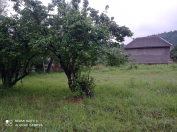 Satılır 6 sot torpaq Lənkəran