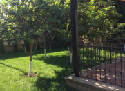 İcarəyə verilir 7 otaqlı 450 m2 bağ evi Novxanı