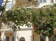 Satılır 7 otaqlı 632 m2 villa Ayna Sultanova heykəli