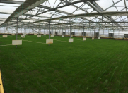 Satılır 7 otaqlı 1500 m2 obyekt Türkan