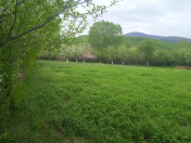 Satılır 10 sot torpaq Quba