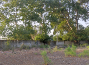 Satılır 8 otaqlı 34000 m2 obyekt Ağdaş