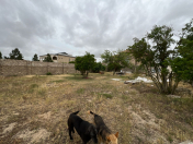 Satılır 11 sot torpaq Mərdəkan