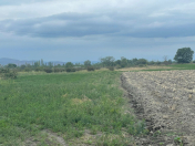 Satılır 500 sot torpaq Şabran