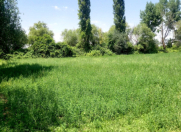 Satılır 100 sot torpaq Füzuli