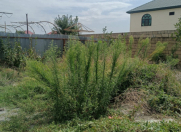 Satılır 3 otaqlı 50 m2 həyət evi Qəbələ