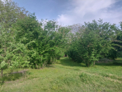 Satılır 150 sot torpaq Qəbələ