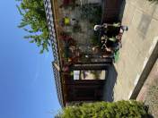 İcarəyə verilir 5 otaqlı 1600 m2 bağ evi Buzovna