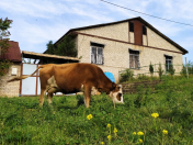 Satılır 4 otaqlı 144 m2 həyət evi Şamaxı