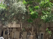 İcarəyə verilir 2 otaqlı 55 m2 köhnə tikili Nəriman Nərimanov m.