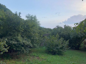 Satılır 7 sot torpaq Qax